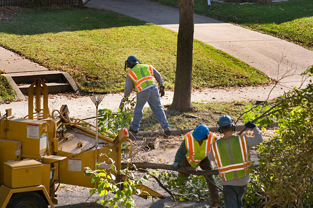 Best Utility Line Clearance  in Lake Monticello, VA