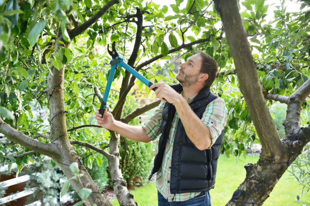 Best Hedge Trimming  in Lake Monticello, VA